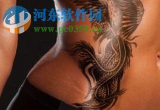 ps纹身笔刷 2017 免费版