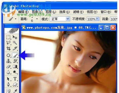 ps纹身笔刷 2017 免费版