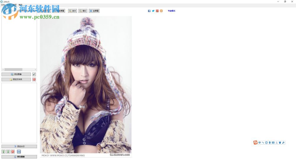 谷歌AI自动去水印软件下载 1.0 绿色版