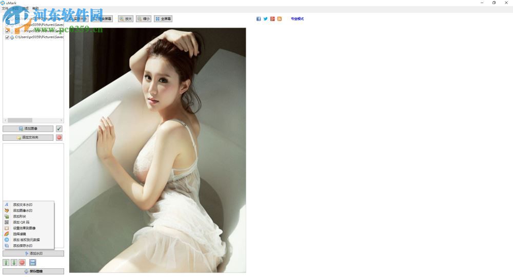 谷歌AI自动去水印软件下载 1.0 绿色版