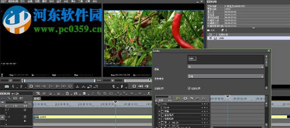 Edius Looks插件 7.5 最新版