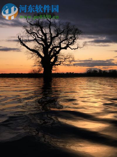 PS水波纹倒影插件Flaming Pear Flood 2.0.5 免费版