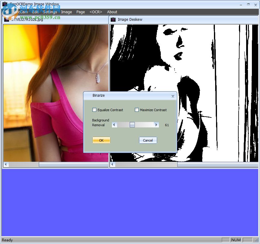 TopOCR(OCR系统软件) 53.0 英文版