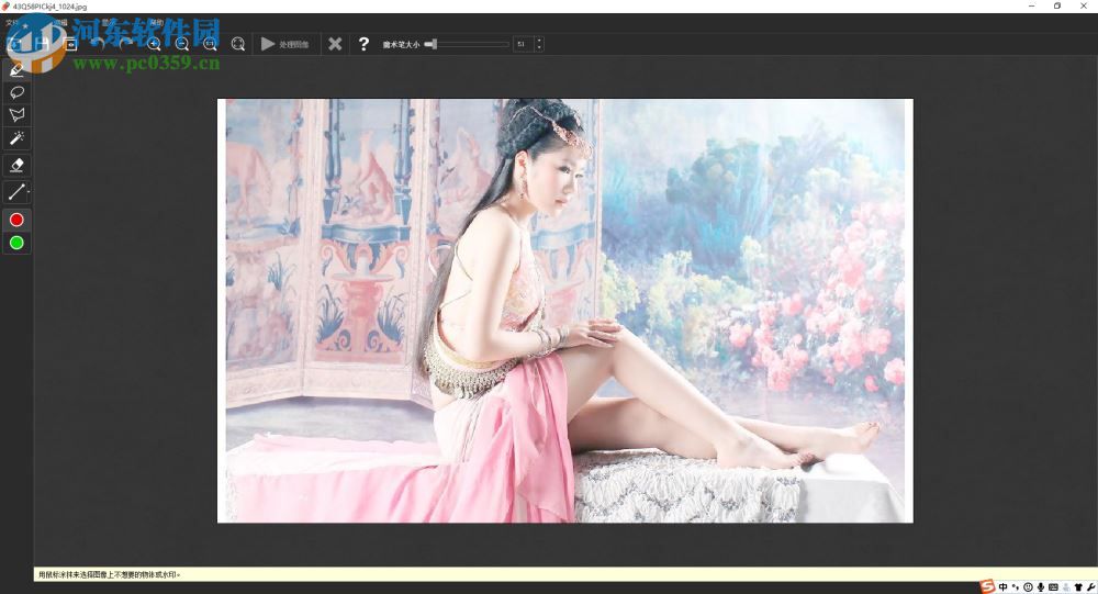 视频图片去水印工具 1.0 中文免费版