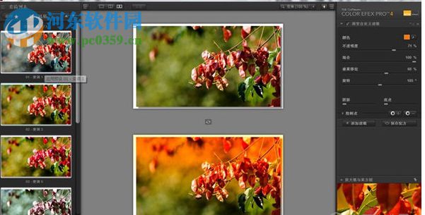 Nik Color Efex Pro 3(PS图像调色滤镜) 3.0 绿色版