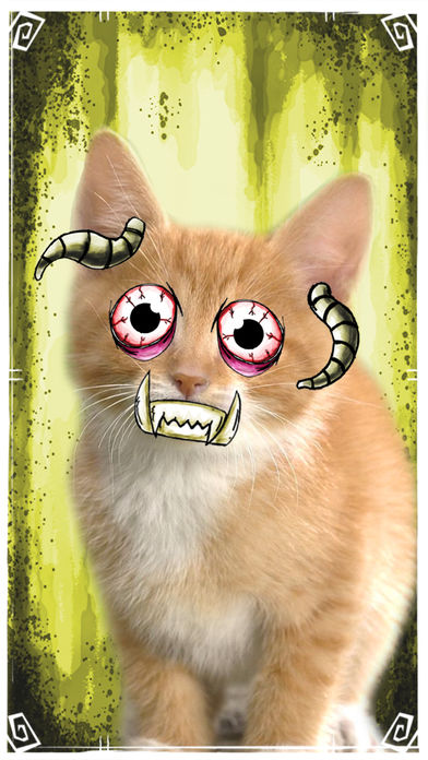 幽灵照片展位(2)