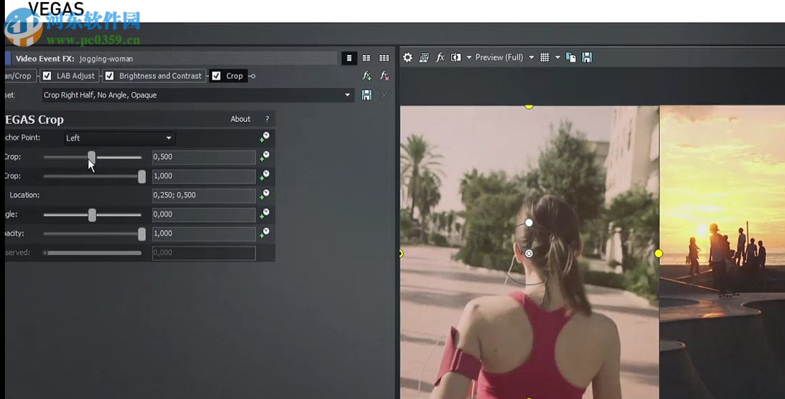 Sony Vegas Pro11下载(视频编辑软件) 11.0.700 中文版