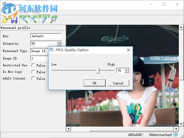 Icemark 数字水印软件 1.41 破解版
