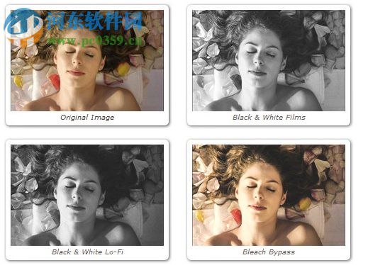 DFT Film Stocks 3.0汉化版 破解版