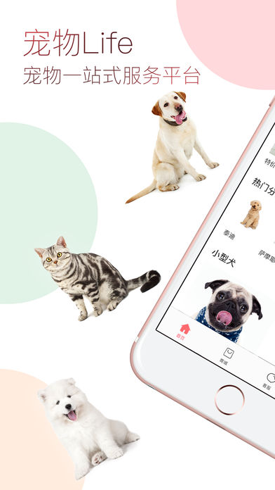 宠物Life(1)