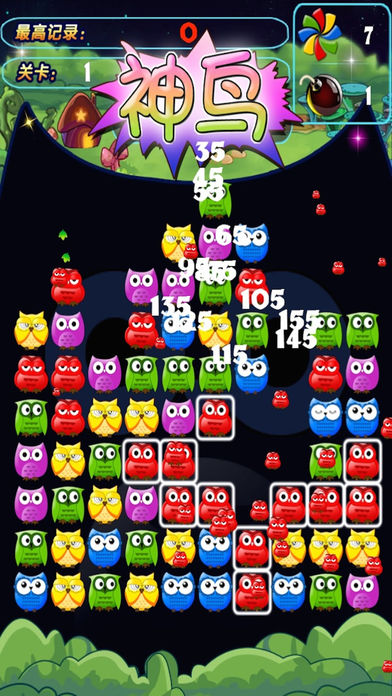 玩蛋鸟(3)