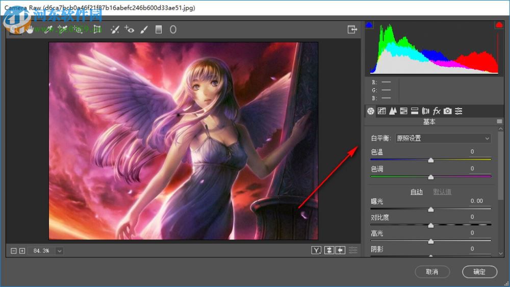 Adobe Camera Raw 10.1(RAW 文件处理工具) 中文版