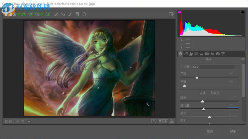 Adobe Camera Raw 10.1(RAW 文件处理工具) 中文版