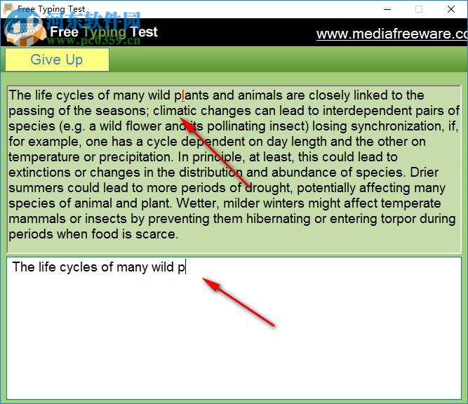 free typing test(免费打字测试) 1.0 官方版