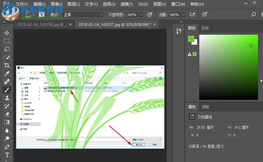 PS麦穗笔刷 免费版