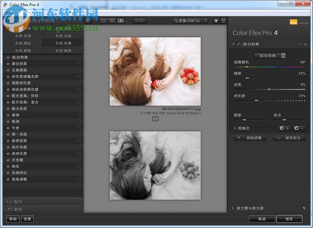 Nik Collection 2018中文版下载 1.2.11 破解版