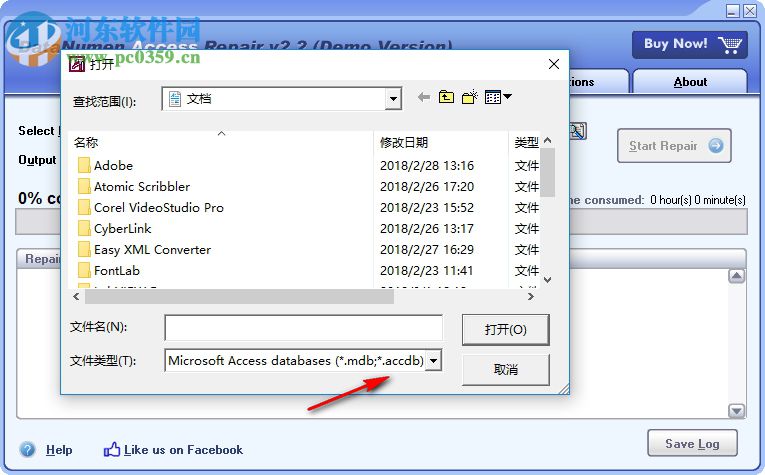 DataNumen Access Repair(access修复工具)