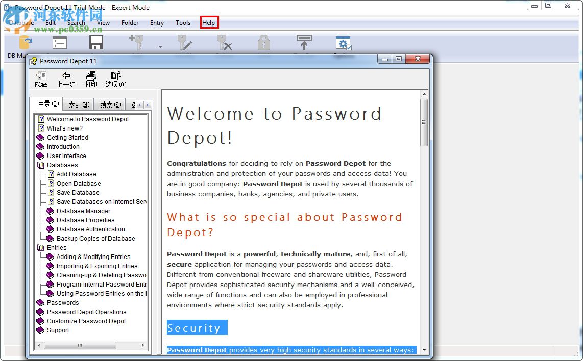 Password Depot 11下载(密码管理) 破解版