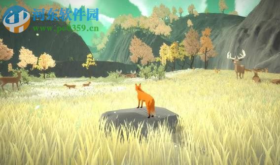 第一棵树 中文版