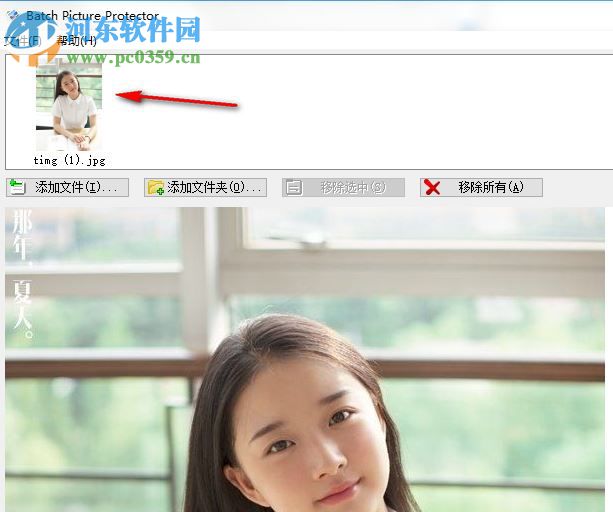 Batch Picture Protector(专业图片加水印工具) 1.4 绿色破解版