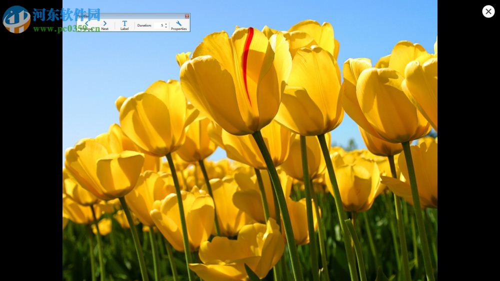 Windows屏保制作软件(Screensaver Wonder) 7.2 官方版