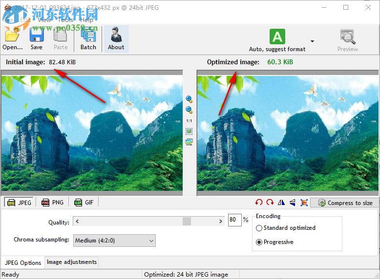 Riot(精准优化图像大小) 0.6.2 免费版