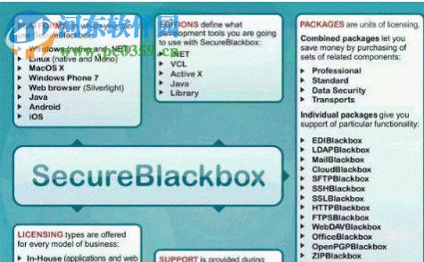 secureblackbox(网络安全协议组件包) 12.0 免费版