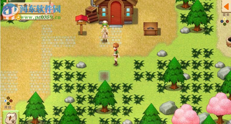 牧场物语:希望之光 英文版