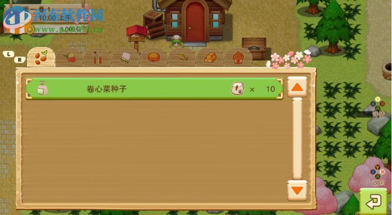 牧场物语:希望之光 英文版