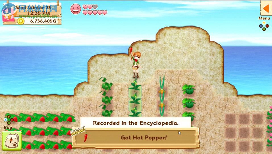 牧场物语:希望之光 英文版