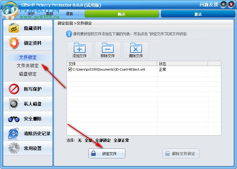 Gilisoft Privacy Protector(隐私保护软件) 10.0.0 试用版