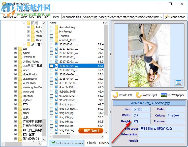 Total Vectorize(图像转换工具) 1.0.0 官方版
