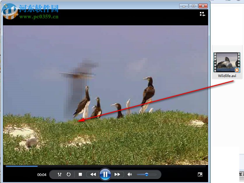 佳佳RMVB转换器下载