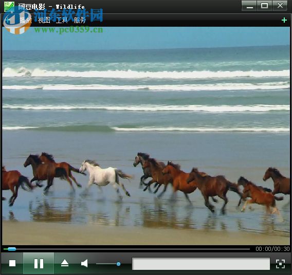 阔豆网络电视下载 1.0 免费版