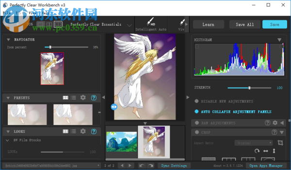 Perfectly Clear Workbench 64位