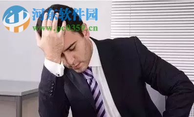 中越工程项目管理软件 1.0 官方版