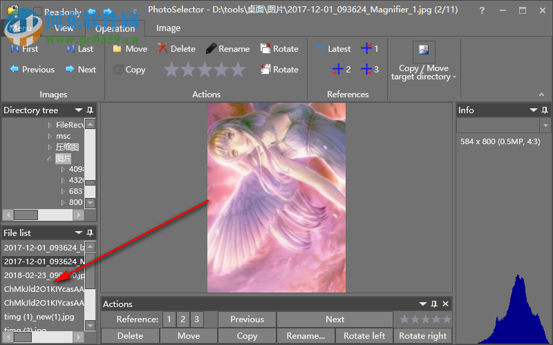 Brain2CPU PhotoSelector(图像管理软件) 9.3 破解版