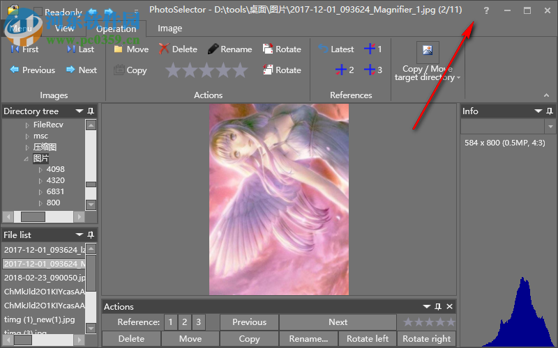 Brain2CPU PhotoSelector(图像管理软件) 9.3 破解版