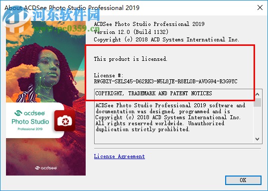 acdsee pro 2019许可证密钥和注册机