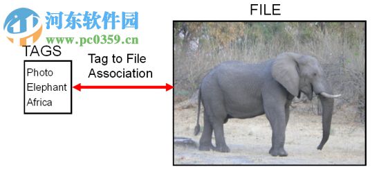 Elyse(数据库管理工具) 4.0.1 官方版