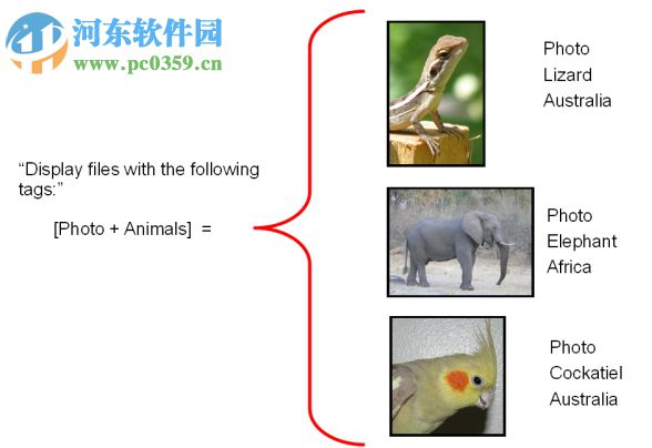 Elyse(数据库管理工具) 4.0.1 官方版