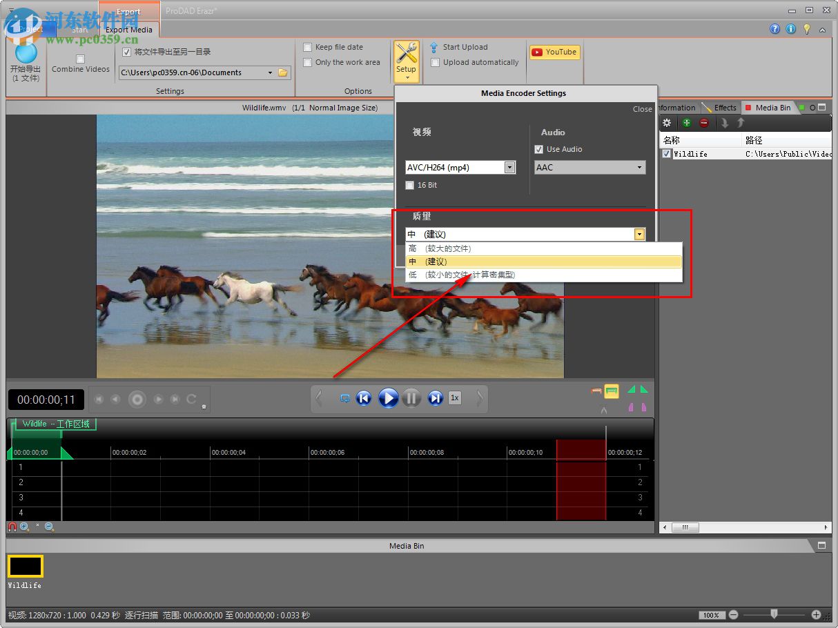proDAD Erazr(视频物体擦除工具) 1.5.69.1 免费版