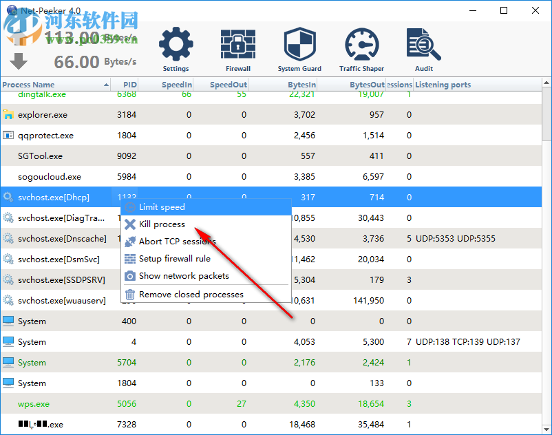 Net-Peeker(网络监视软件) 4.0 破解版