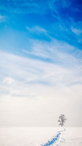 全局透明壁纸(4)