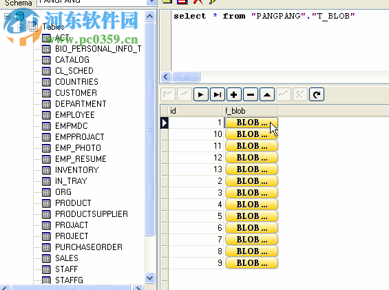 OraLobEditor(数据库字段类型编辑工具) 4.4 官方版
