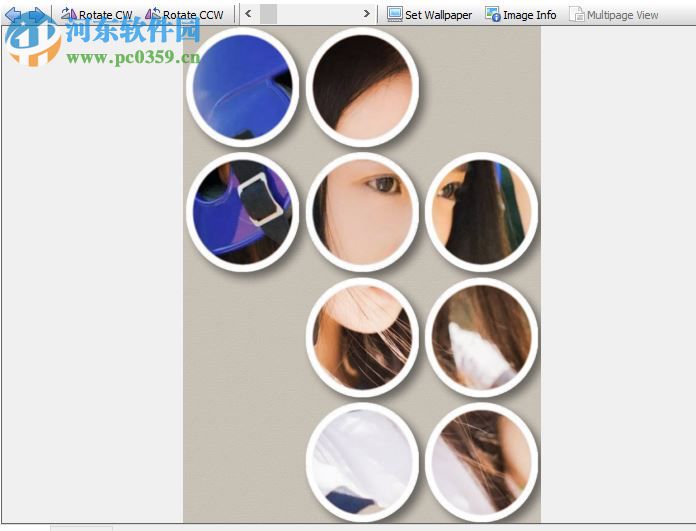 WildBit Viewe(多功能图像查看器) 6.4 破解版