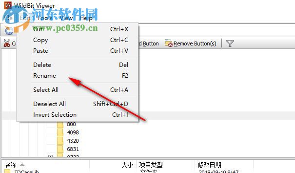 WildBit Viewe(多功能图像查看器) 6.4 破解版