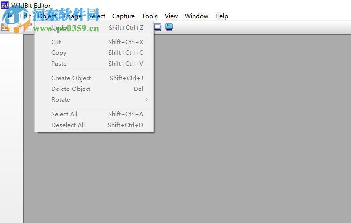 WildBit Viewe(多功能图像查看器) 6.4 破解版