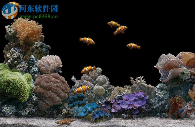 MarineAquarium3(屏保工具) 3.2.6066 免费版