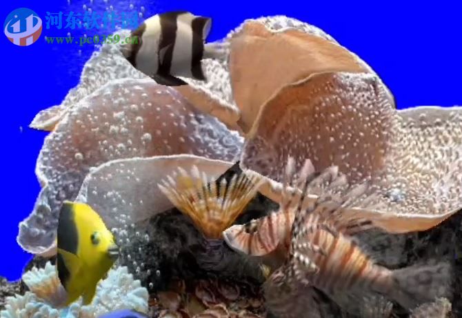 MarineAquarium3(屏保工具) 3.2.6066 免费版